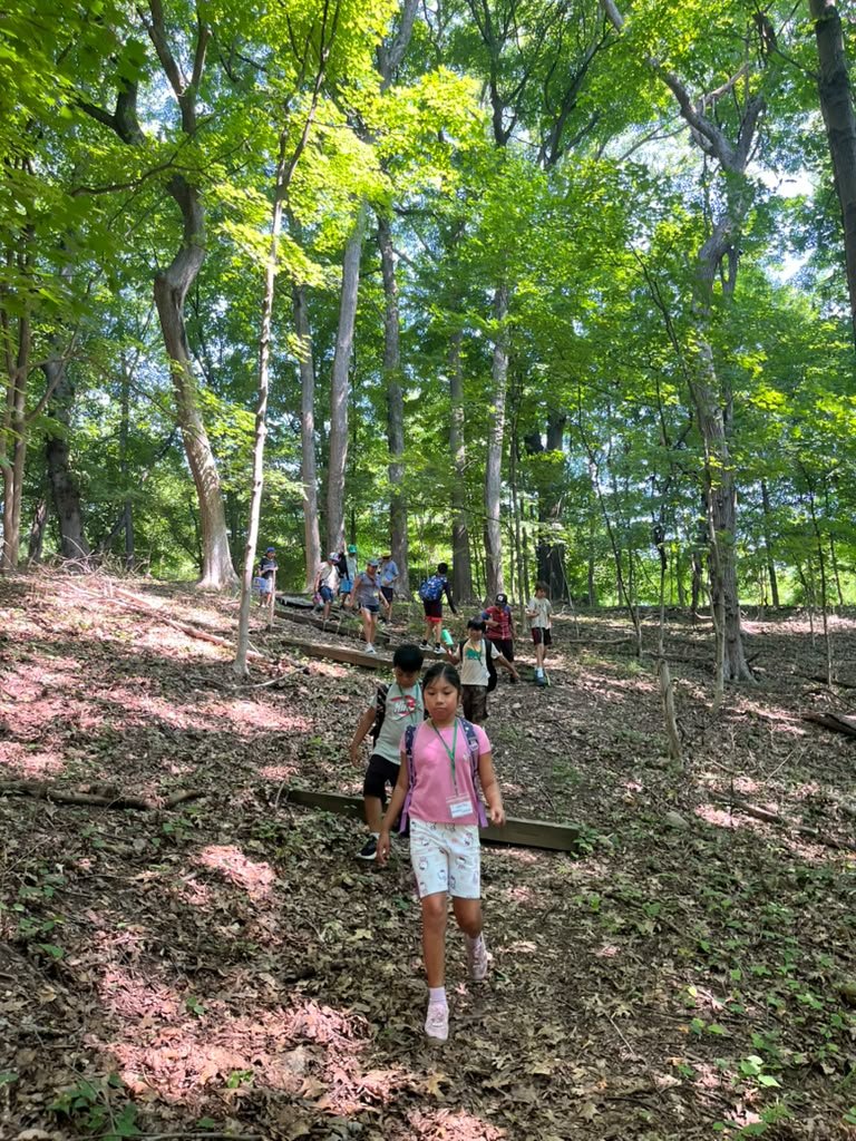 Senderismo: hiking the trails of Valley Forge.